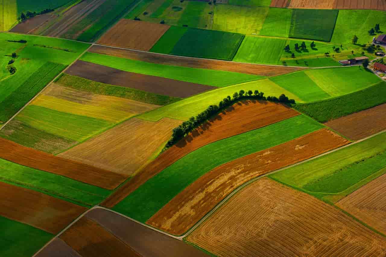 AGRICULTURAL PRODUCT MARKET ANALYSIS BULLETIN ISSUE -23